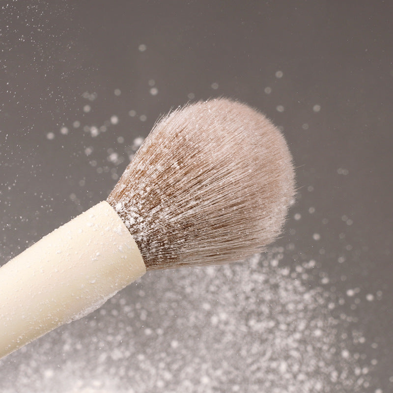 Powder brush, soft bristle setting brush